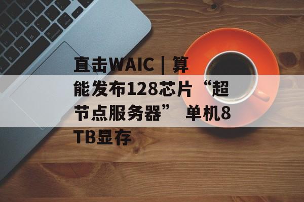 直击WAIC | 算能发布128芯片“超节点服务器” 单机8TB显存