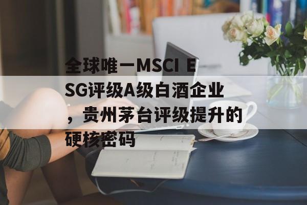 全球唯一MSCI ESG评级A级白酒企业，贵州茅台评级提升的硬核密码