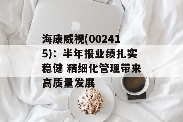 海康威视(002415)：半年报业绩扎实稳健 精细化管理带来高质量发展