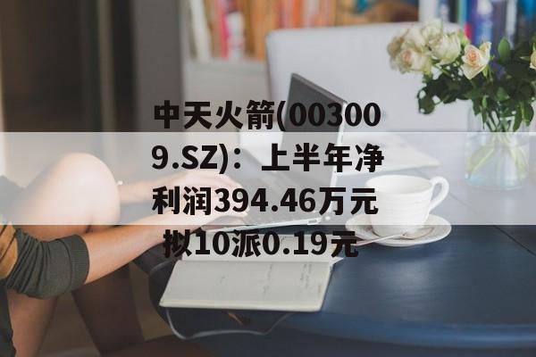 中天火箭(003009.SZ)：上半年净利润394.46万元 拟10派0.19元