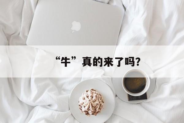 “牛”真的来了吗？