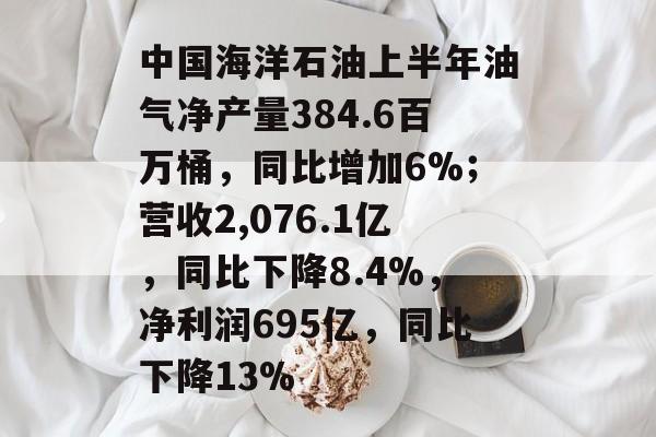 中国海洋石油上半年油气净产量384.6百万桶，同比增加6%；营收2,076.1亿，同比下降8.4%，净利润695亿，同比下降13%