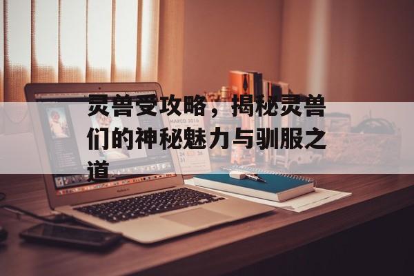 灵兽受攻略,揭秘灵兽们的神秘魅力与驯服之道 灵兽受攻略,揭秘灵兽们的神秘魅力与驯服之道