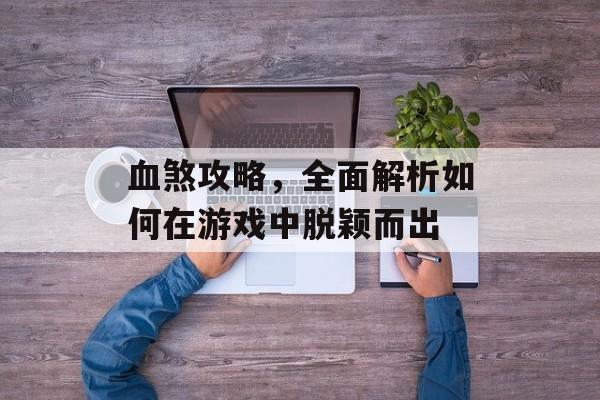 血煞攻略，全面解析如何在游戏中脱颖而出