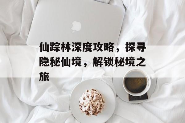 仙踪林深度攻略,探寻隐秘仙境,解锁秘境之旅 仙踪林深度攻略,探寻隐秘仙境,解锁秘境之旅