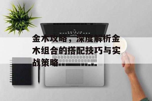 金木攻略，深度解析金木组合的搭配技巧与实战策略