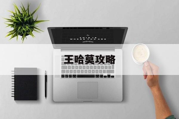 王哈莫攻略