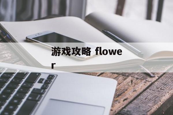 游戏攻略 flower